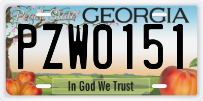 GA license plate PZW0151