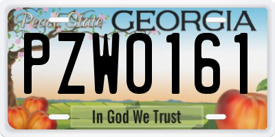 GA license plate PZW0161