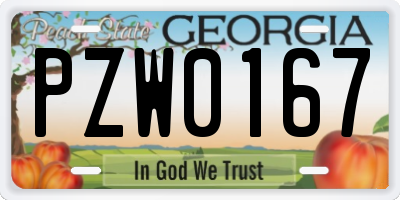 GA license plate PZW0167