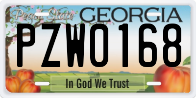 GA license plate PZW0168