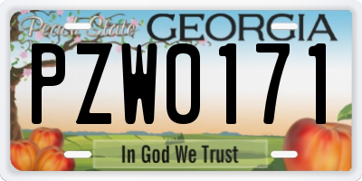 GA license plate PZW0171