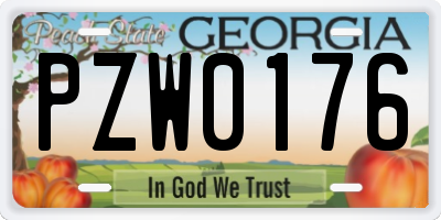 GA license plate PZW0176