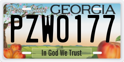 GA license plate PZW0177
