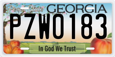 GA license plate PZW0183