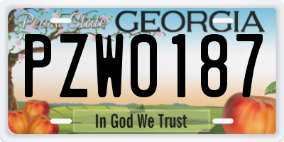 GA license plate PZW0187