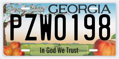 GA license plate PZW0198