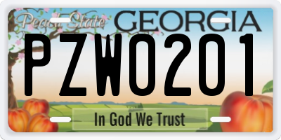 GA license plate PZW0201