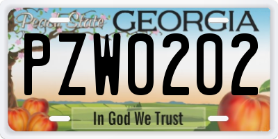 GA license plate PZW0202