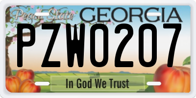 GA license plate PZW0207