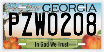 GA license plate PZW0208
