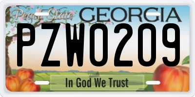 GA license plate PZW0209