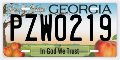 GA license plate PZW0219