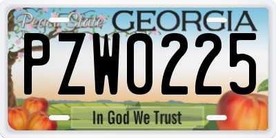 GA license plate PZW0225