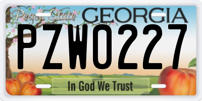 GA license plate PZW0227