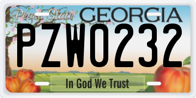 GA license plate PZW0232