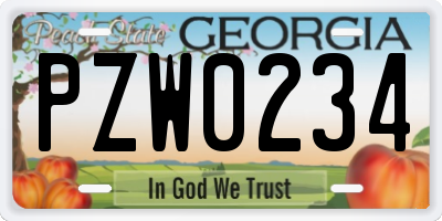 GA license plate PZW0234