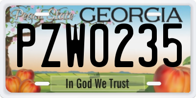 GA license plate PZW0235