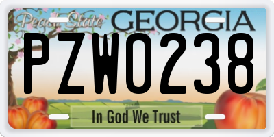 GA license plate PZW0238