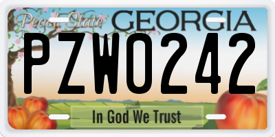 GA license plate PZW0242