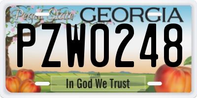 GA license plate PZW0248