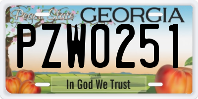 GA license plate PZW0251