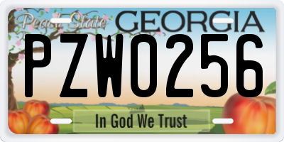 GA license plate PZW0256