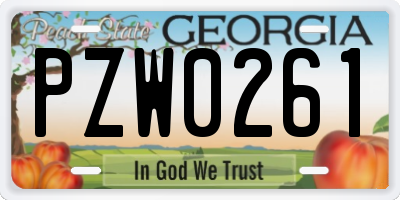 GA license plate PZW0261