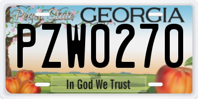 GA license plate PZW0270