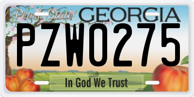 GA license plate PZW0275