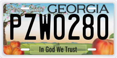 GA license plate PZW0280