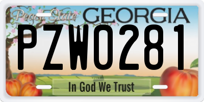 GA license plate PZW0281