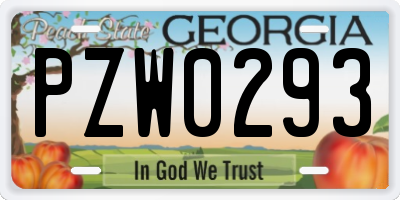 GA license plate PZW0293