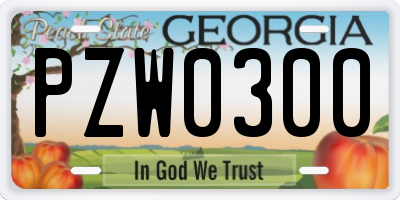 GA license plate PZW0300
