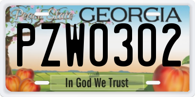 GA license plate PZW0302