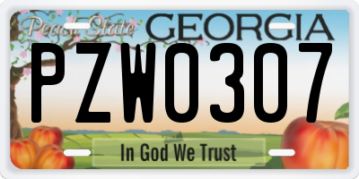 GA license plate PZW0307