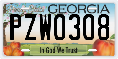 GA license plate PZW0308