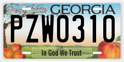 GA license plate PZW0310