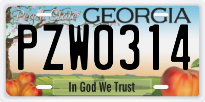 GA license plate PZW0314