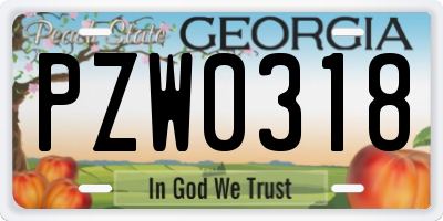 GA license plate PZW0318