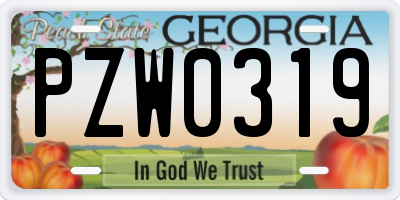 GA license plate PZW0319
