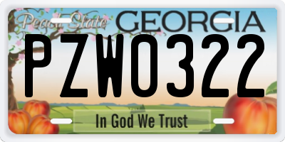 GA license plate PZW0322