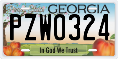 GA license plate PZW0324