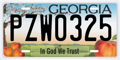 GA license plate PZW0325