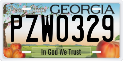 GA license plate PZW0329