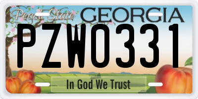 GA license plate PZW0331