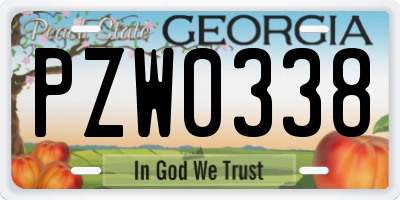 GA license plate PZW0338