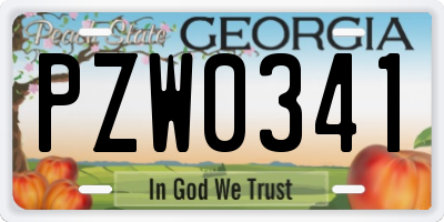GA license plate PZW0341