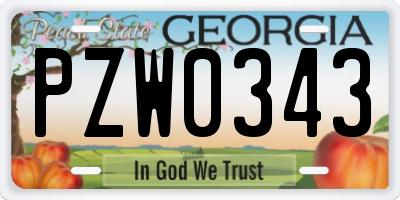 GA license plate PZW0343