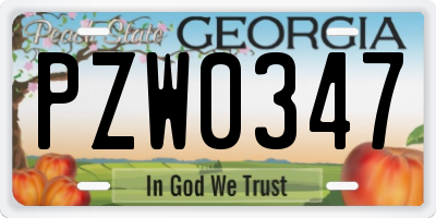 GA license plate PZW0347
