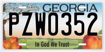 GA license plate PZW0352